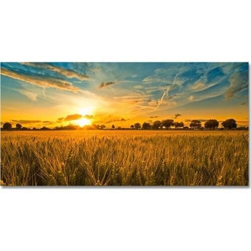Sunset of Cornfield Landscape Canvas Painting Wheat Field Posters and Prints Cuadros Wall Art Pictures for Living Room Decor