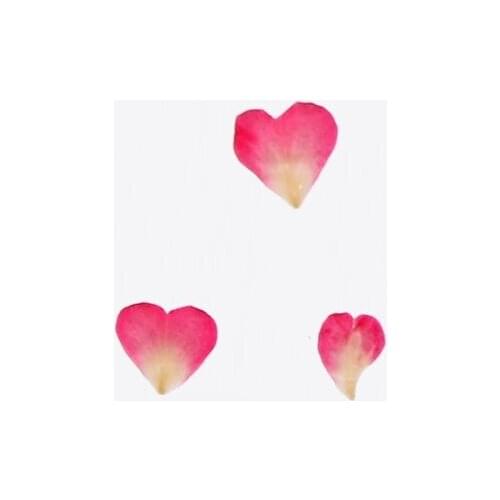 Mix Pressed Flower Leaves Plant Specimen Fillers for Epoxy Resin Jewelry Making N2UE