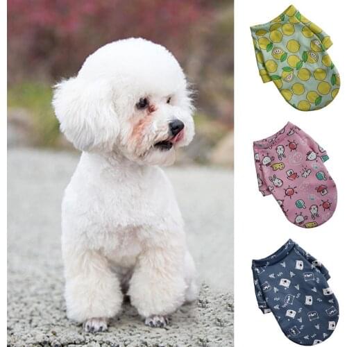 Pet Printed Clothes For Dogs Cartoon Pattern Costume Keep Warmth Two-Leg Small Pets Clothing Sweatshirt Outfit XS/S/M/L/XL/XXL
