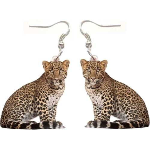 1 Pair Cheetah Acrylic Leopard Earrings Womens Earrings Jewelry Gifts for Women Love Animal Leopard New Stainless Steel Earring