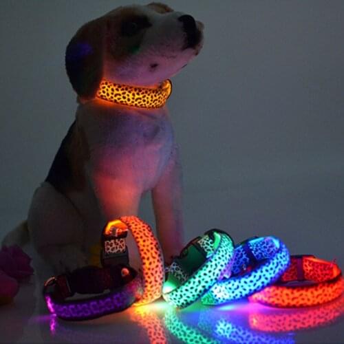5-color LED pet leopard collar Adjustable luminous pet collar Walk the dog at night safety collar Pet cats and dogs collars dp01