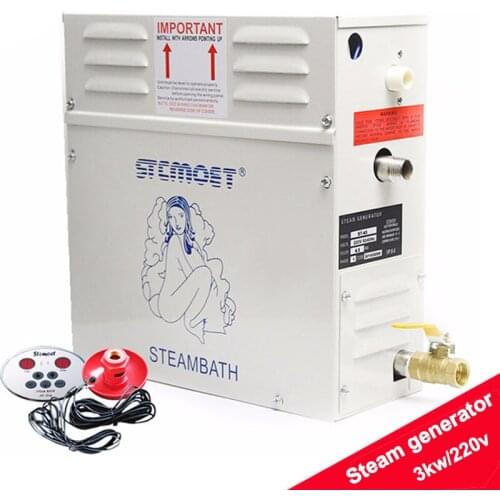 3kw 220v Home use Steam machine Steam generator Sauna Dry stream furnace Wet Steam Steamer digital controller ST-30 1pc