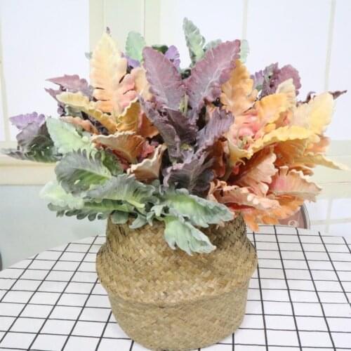 5pcs Artificial senecio cineraria Branch For Plant Wall Background Wedding Party Home Hotal Office Bar Decorative