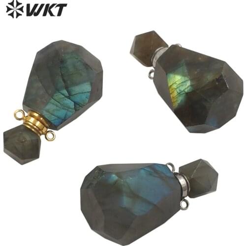WT-P1627 New Perfume Bottle Pendant Luxury Labrodorite Bottle Pendant Faceted Water Drop Necklace Pendant Double Hooks