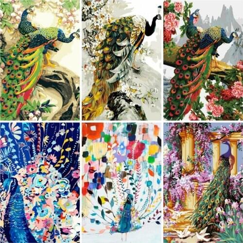 AZQSD Painting By Numbers 40x50cm Beautiful Peacock with Flowers Oil Painting Picture By numbers On Canvas Home Decor szyh208