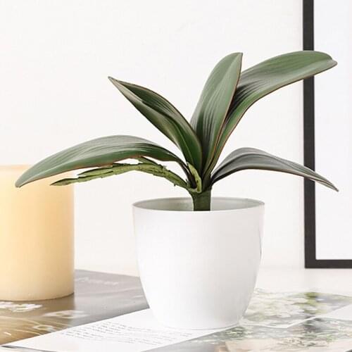 Real Touch Artificial Green Butterfly Orchid Plastic Leaf Beauty Plant Home Decor For Wedding Decor DIY Gift