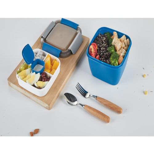 Portion Control Cute Lunch Boxes