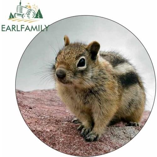 EARLFAMILY 13cm x 13cm Chipmunk Rodent Graffiti Car Sticker Waterproof Decal PVC Scratch-proof Car Body Decoration