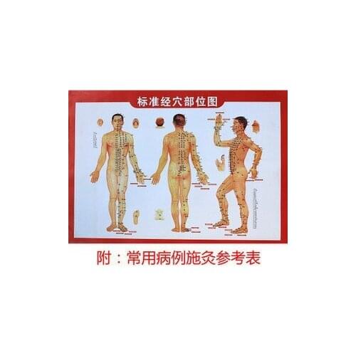 Moxa roll meridian main and collateral channels acupoint wallmap double faced, in Chinese language