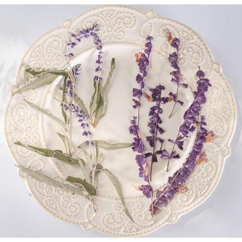 60pcs Pressed Dried Flower Salvia splendens var.atropurpu Herbarium Epoxy Jewelry Bookmark Phone Case Makeup Nail Art Craft DIY