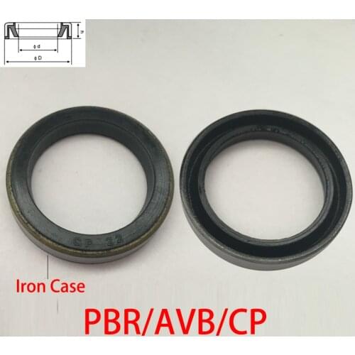 PBR AVB CP 20*28*5 20x28x5 22*30*5 22x30x5 Iron Case Outer NBR Rubber Pneumatic Cylinder O Ring Cushion Buffer Oil Seal Gasket