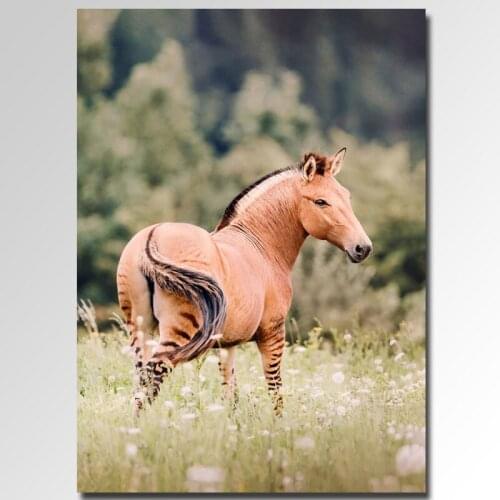 2019 new full drill Diamond Painting 5D Animal Wild horse DIY diamond embroidery landscape Cross stitch