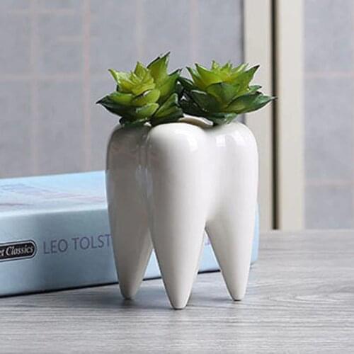 White Ceramic Fleshy Small Flowerpot Tooth Shape Table Plant Pot Culture Flower Pot Home Decoration Bonsai Pots For Green Plants