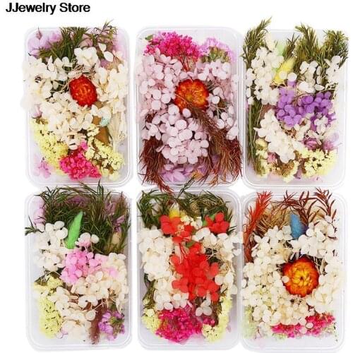 1 Box Random Mix Style Dried Flowers Decoration Natural Floral Sticker Epoxy Mold DIY Filling Jewelry Dry Beauty Nail Art Decals
