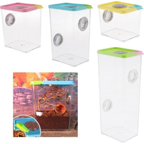 Plastic Reptile Insect Beetle Spider Habitat Feeding Breeding Box Tank