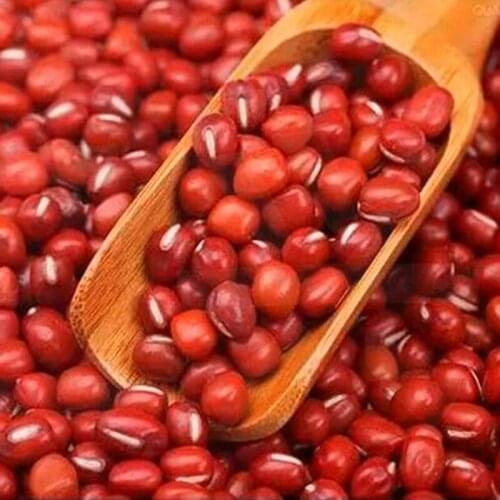 1pc Tea Coffee Bean Seasoning Spoon Wooden Tea Spoon Mini Spoon For Bathtub Salt Spoon Sweet Powder Kitchen Accessories