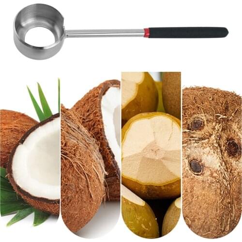 Stainless Steel Coconut Opener Tool Remove Jujube Hawthorn Walnut Kernels Coconuts Open Hole Tools Kitchen Accessories can CSV