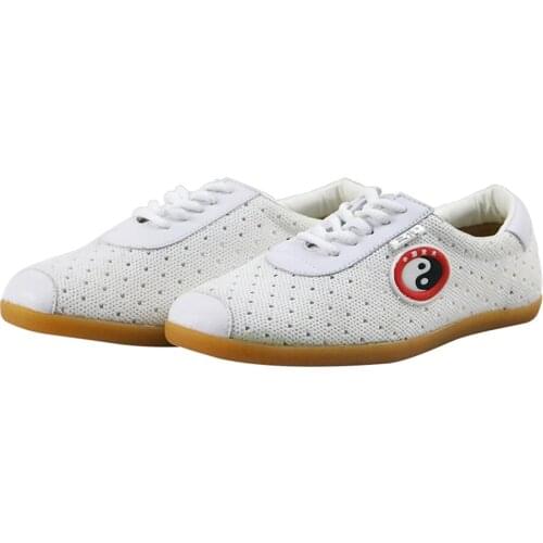 Unisex Tai Chi Kung Fu Shoes Martial Art Chinese Traditional Sneaker Wing Chun Slipper with Classic Taiji Pattern
