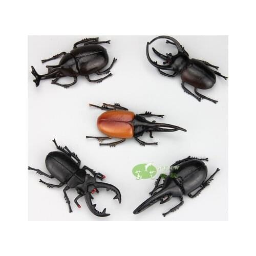 Co-friendly plastic simulation model insect large pocket Hercules Ares model toy 5PCS/lot