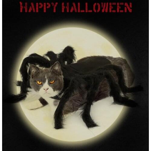 Cat/Dog Halloween Spider Pet Dress Up Spider Wing Clothes for Puppies Cats black Halloween Pet Cat Dog Costumes Cute Dress hot