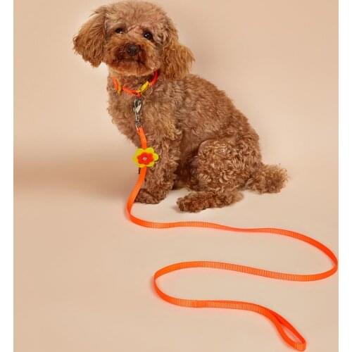 Nylon Dog Leash Cat Leash with Collar - Strong,Durable,Fashional Style Leash,Adjustable Collar for Walking