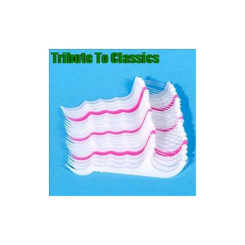 50pcs/lot Personality Oral Gum Teeth Clean Tools Care Thread Dental Plastic Tooth Picks Wholesale