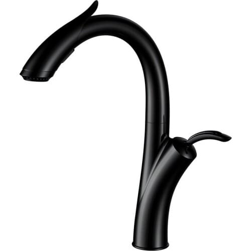 Kitchen Faucet Hot & Cold Sink Mixer Tap Brass Rotating Shower Pull Out Crane Multi Function Kitchen Faucet Black Matte/Chrome