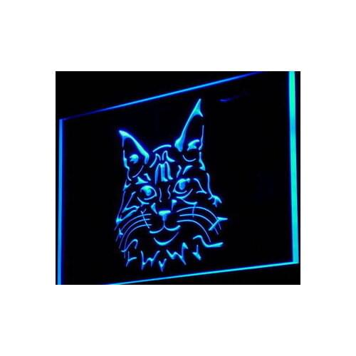I989 Maine Coon Cat Kitty Display Shop Decor Neon Light Light Signs On/Off Switch 20+ Colors 5 Sizes