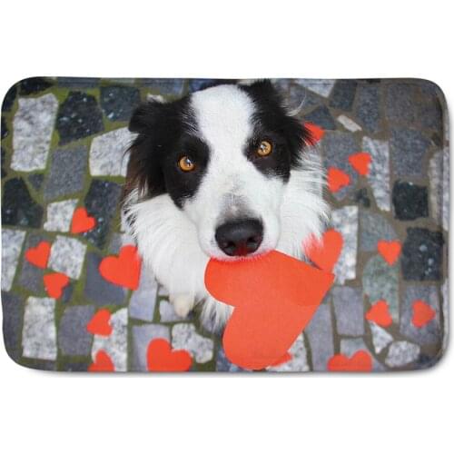 Upetstory 40*59cm Soft Floor Mat Entrance Doormat Floor Rug Cute Dog Print Anti-Slip Door Mat Area Rug Mats Bathroom Kitchen