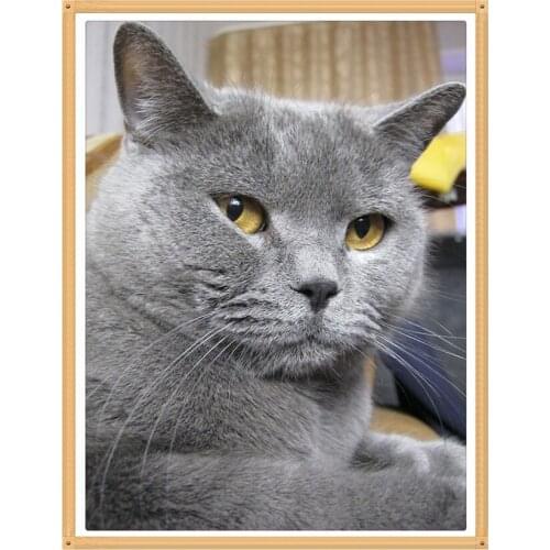 3D Grey Cat 25x35cm DIY Diamond Painting Square Drill Rhinestone Pasted Cross Stitch Masonry Rhinestone Crafts Needlework