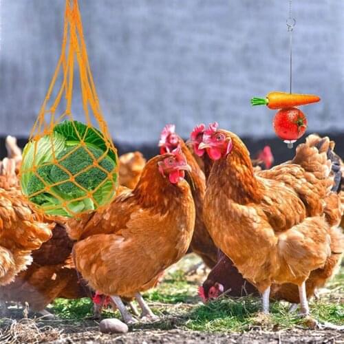 Chicken Toy-Chicken Veggies Skewer Fruit Holder Hanging Feeder for Poultry Rope&Metal Hanging Feeder