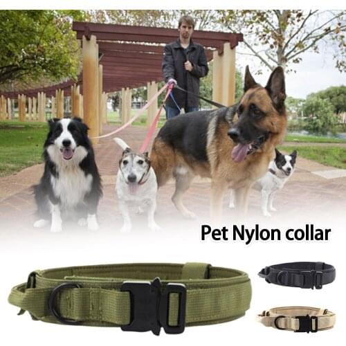 Adjustable Nylon Dog Collars Padded Collar for Dog Training Outdoor Comfortable Dog Necklace for Pet
