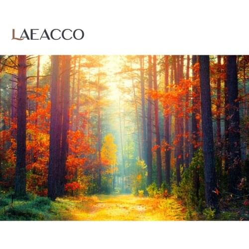 Laeacco Autumn Forest Scenic Sunlight Pathway Portrait Photo Zone Photographic Backdrop Photography Background For Photo Studio
