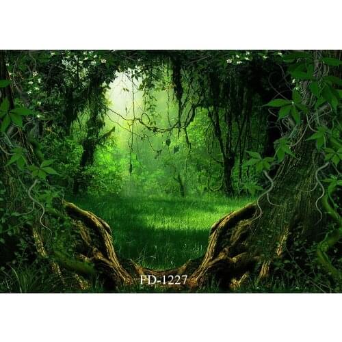 Forbidden Forest Outlet Photography Backdrop for Photo Booth Background Photographic Props Portrait Children Baby Photo Shoot