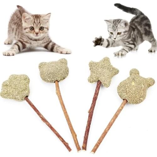 Pet Cat Kitten Star Claw Bear Head Shape Catnip Silvervine Molar Play Chew Toy Cat Toys Supplies