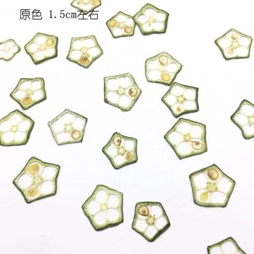 12pcs Dried Pressed Vegetable OKra Slices Plant Herbarium For Exopy Jewelry Photo Frame Phone Case Bookmark Craft DIY Making