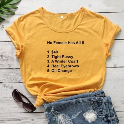 No female has all 5 cute T-Shirt funny 100% Cotton grunge street style tumblr Fashion women unisex casual quote tshirt top tee