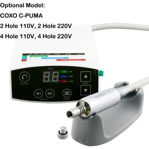 COXO Dental C-PUMA LED Brushless Electric Mini Micro Motor 2&4 Hole fit NSK KAVO