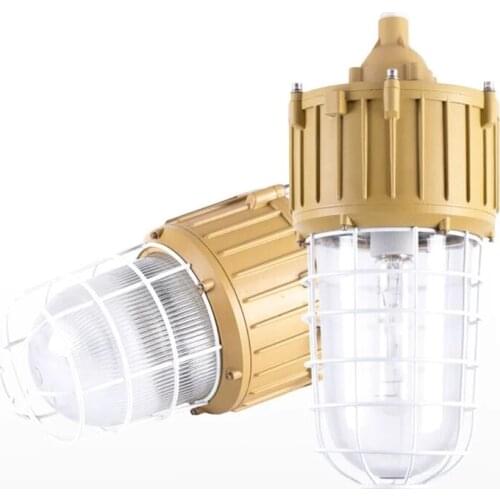 IP66 waterproof Explosion proof lamp industrial light
