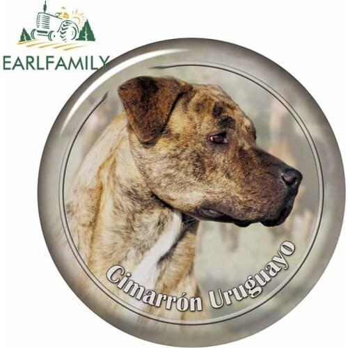 EARLFAMILY 13cm x 13cm For Dog Fashion Decal Creative Car Stickers Graffiti Vinyl Material Scratch-Proof Waterproof Decoration