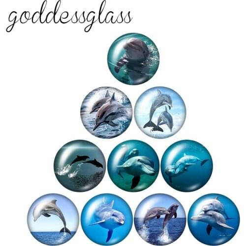 New Cute dolphin Friends Marine life 10pcs mixed 12mm/18mm/20mm/25mm Round photo glass cabochon demo flat back Making findings