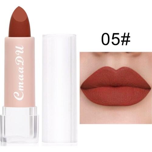 1Pcs Sexy Red Brown Matte Lipsticks Waterproof Long Lasting Sexy Red Lip Stick Non-Stick Cup Makeup Lip Tint Beauty Cosmetic D05