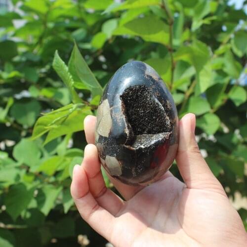 330g Natural curvature of the furnishing articles Turtle grain stone egg Ball Septarian nodule Fossil Crystal Healing quartz 09