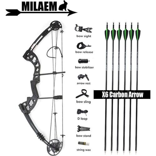 30-55lbs Archery ZJ Compound Bow And Arrow Set With Carbon Arrows Stabilizer Sight IBO310FPS Target Shooting Hunting Accessories