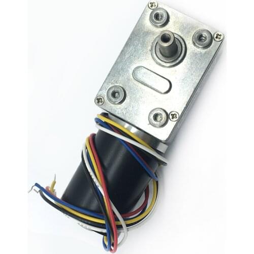 Bringsmart JGY-2838 DC Worm Gear Motor 12V 24V High Torque Brushless Reversed Self-lock Turbo-reducing Built-in Driver Gearbox
