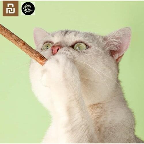 8PCS Xiaomi Pets Cats Cleaning Teeth Natural Catnip Molar Toothpaste Chew Silvervine Sticks Actinidia Polygama Pets Snack