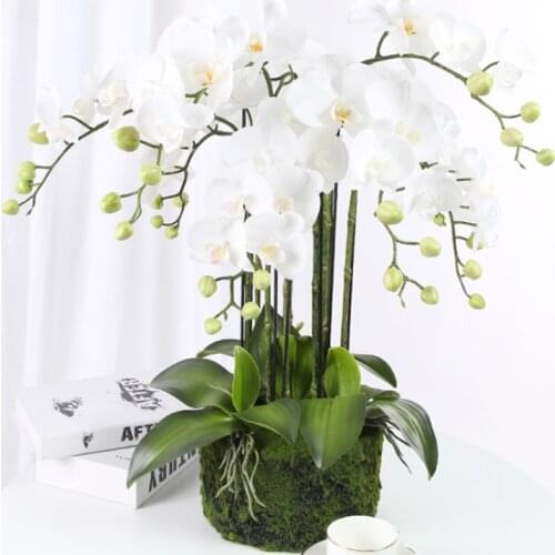 Real Touch 9-Heads Artificial Butterfly Orchid Flowers Latex Large Fake Phalaenopsis Silicon PU Party Wedding Home Decoration