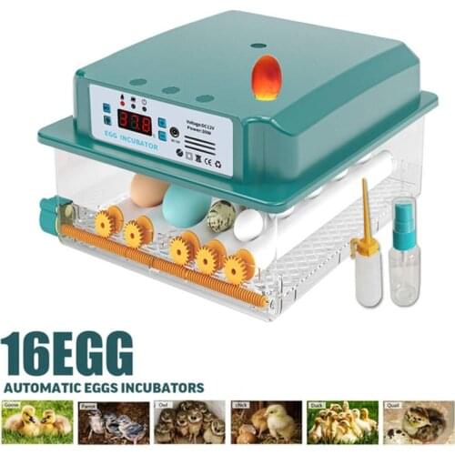 16 Eggs New Fully Automatic Incubator 110V/220V Digital Chick Brooder Hatcher Machine Household Farm with Intelligent Turn Egg