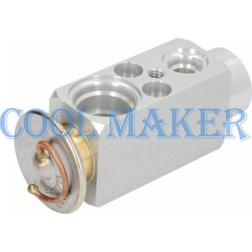 Car expansion valve for Man truck 1331998 81619670014 81619670020 0028300984 DVE99205