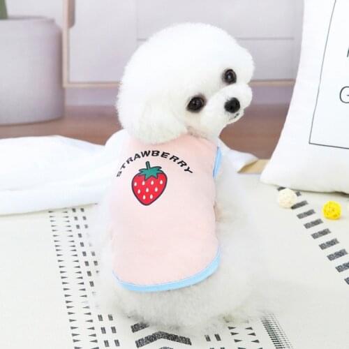 Cute Cartoon Fruits Pet Dog Cats Vest Summer Soft Cool Puppy Small Dog Clothes Comfortable Home Casual Pets Clothing 2021